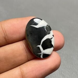 Black Septarian - Image 1