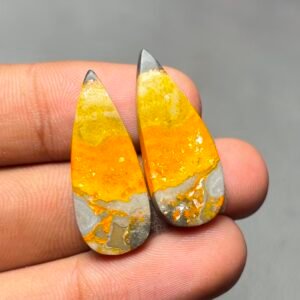 Bumble Bee Jasper Pair