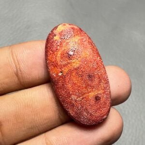 Red Coral