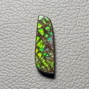 Ammolite Cabochon