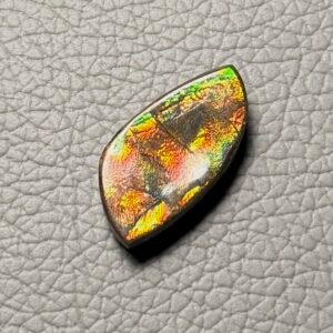Ammolite Cabochon
