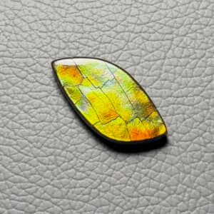 Ammolite Cabochon