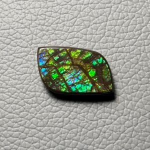 Ammolite Cabochon