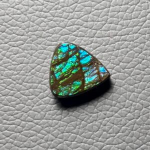 Ammolite Cabochon
