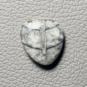Orthoceras Gemstone Cabochon - Image 1