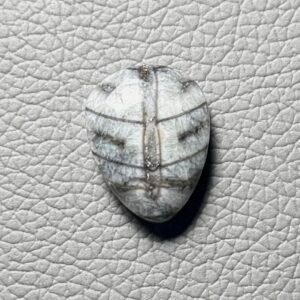 Orthoceras Gemstone Cabochon - Image 1