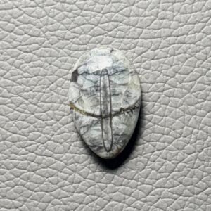 Orthoceras Gemstone Cabochon - Image 1