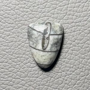 Orthoceras Gemstone Cabochon - Image 1
